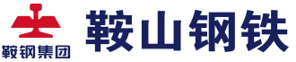 鞍山钢铁集团有限公司